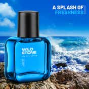 Wild Stone Hydra Energy Eau De Parfum For Men (30 ml)