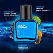 Wild Stone Hydra Energy Eau De Parfum For Men (30 ml)