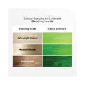 Streax Ultralights Hair Color Highlight Kit - Tropical Green (180 g)