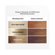 Streax Ultralights Hair Color Highlight Kit - Cappuccino Brown (180 g)