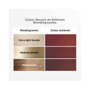 Streax Ultralights Hair Color Highlight Kit - Latte Brown (180 g)