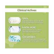 The Derma Co. 4% Urea Deep Moisturizing Cream (100 g)