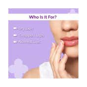 The Derma Co. 1% Ceramide Complex Lip Balm (4 g)