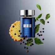 Rochas L'Homme Rochas Eau De Toilette (100 ml)