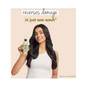 LOVE beauty AND planet Olive Oil & Peptide Bond Repair Shampoo & Conditioner