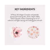 Laneige Bouncy And Firm Sleeping Mask (25 ml)
