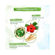 Mamaearth Hibiscus Damage Repair Shampoo (250 ml)