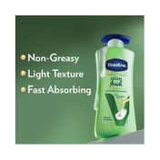 Vaseline Aloe Fresh Body Lotion With Aloe Vera Extract (600ml) - Non-Greasy, Light Texture, Fast Absorbing