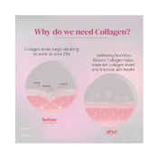 Wellbeing Nutrition Beauty Korean Marine Strawberry & Watermelon Collagen Combo (250 g) (Pack of 2)