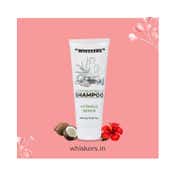 WHISKERS Aloe Vera Shampoo For Men (200 ml)
