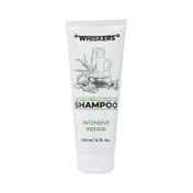 WHISKERS Aloe Vera Shampoo For Men (200 ml)