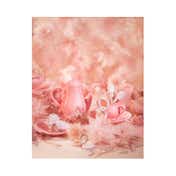 Dear Dahlia Blooming Edition Paradise Dual Palette Blusher Duo - Multi Fair Lady (4 g)
