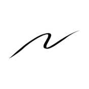 Dear Dahlia Paradise Dream Precision Pro Liquid Eyeliner - Noir (0.5 ml)