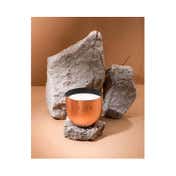Seva Home Heirloom Classic Berries Rose Gold Candle