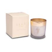 Seva Home Enchante Divine Ganesha Candle