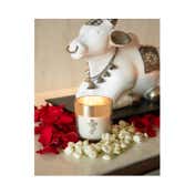 Seva Home Enchante Divine Ganesha Candle