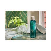 The Body Shop Blue Musk Zest Hair and Body Wash (250 ml)