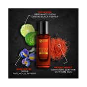 Beardo Whisky Smoke Perfume (20 ml) & Bourbon Whisky Smoke Perfume Ideal Gift (20 ml) Combo