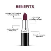 Renee Cosmetics Stunner Matte Lipstick - Fired Up (4 g)