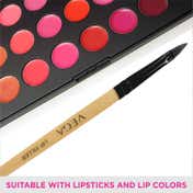 Vega Lip Filler Makeup Brush with Wooden Handle Pack of 2 (EV-13) (4.4 g)