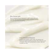 Beauty of Joseon Relief Sun : Rice + Probiotics SPF 50+ PA++++ Most Loved Korean Sunscreen (10 ml)