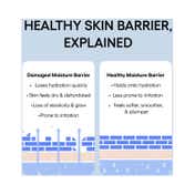 Laneige Water Bank Blue Hyaluronic Intensive Moisturizer (50 ml)