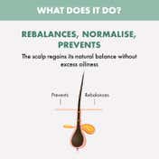 Alfaparf Milano Scalp Rebalance Purifying Low Shampoo - Anti Dandruff For All Scalps (1000 ml)