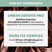 Alfaparf Milano Scalp Rebalance Low Shampoo, For Oily Scalp, Frizzy Hair, Wavy Hair (250 ml)