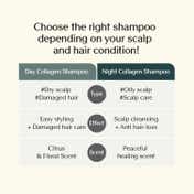 Treecell Night Collagen Shampoo Midnight Forest (360 ml)