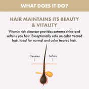 Alfaparf Milano Diamond Shampoo with Linseed Extract For Glossy & Shiny Hair, Moisture (1000 ml)