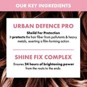 Alfaparf Milano Nutritive Hydration Shampoo with linseed-Flaxseeds for Dry & Frizzy (250 ml)