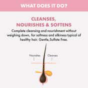 Alfaparf Milano Nutritive Hydration Shampoo with linseed-Flaxseeds for Dry & Frizzy (250 ml)