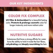 Alfaparf Milano Nutritive Hydration Shampoo with linseed-Flaxseeds for Dry & Frizzy (250 ml)