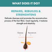 Alfaparf Milano Reparative Low Shampoo For Dry & Damage Hair, Bond Repair (250 ml)
