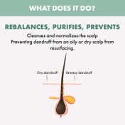 Alfaparf Milano Scalp Rebalance Purifying Low Shampoo - Anti Dandruff For All Scalps (250 ml)