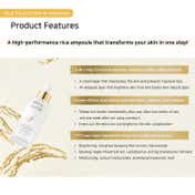 Thank You Farmer Rice Pure Cream In Ampoule (50 ml)