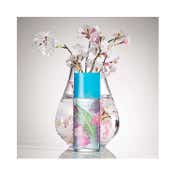 Elizabeth Arden Green Tea Sakura Blossom Eau De Toilette Spray (100 ml)