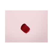 Elizabeth Arden Lip Lipstick - Rich Merlot 16 (4 g)