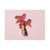 Elizabeth Arden Lip Lipstick - Embrace Pink Matte 02 (4 g)