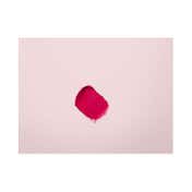 Elizabeth Arden Lip Lipstick - Pink Visionry Matte 03 (4 g)