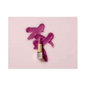 Elizabeth Arden Lip Lipstick - Perfecftly Plum 14 (4 g)