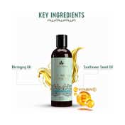 Avimee Herbal Cold Pressed Castor Oil (100 ml)