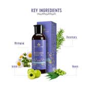 Avimee Herbal Rosemary Hair Oil (100 ml)