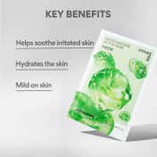 Innisfree Madecassoside Active Mask – Calming & Barrier Repair Care (25 ml)