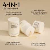 The Face Shop Vegan Lipcerin - Korean Lip Mask, Glowy Balm, Lip Scrub & Plumping Gloss (15ml)