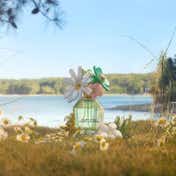 Marc Jacobs Daisy Wild Eau de Parfum for Women (50 ml)