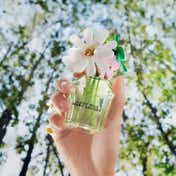 Marc Jacobs Daisy Wild Eau de Parfum for Women (50 ml)