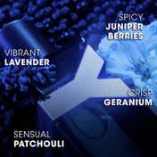 Yves Saint Laurent Y Eau de Parfum Intense (60 ml)