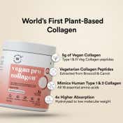 Wellbeing Nutrition Vegan Pro Collagen Hyaluronic Acid Skin and Hair Mixed Berries Flavor (200 g)