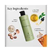 Pattern Nourishing Shampoo (250 ml)